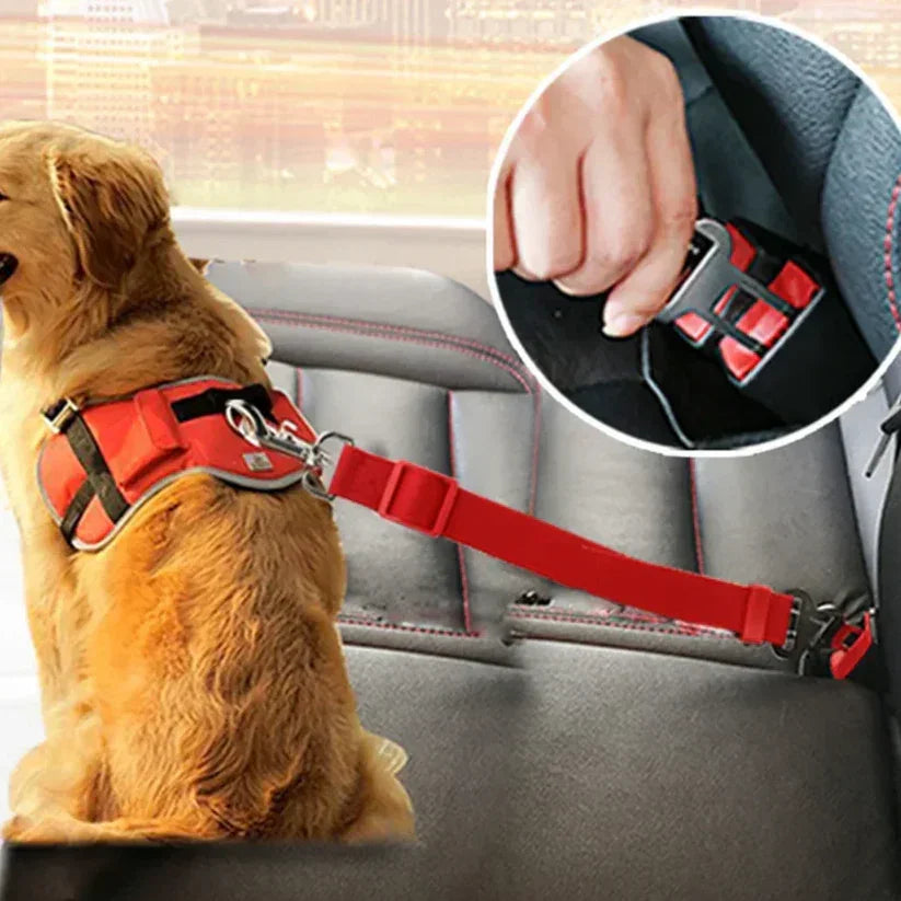 SpaceNest™ Car Safety Strap
