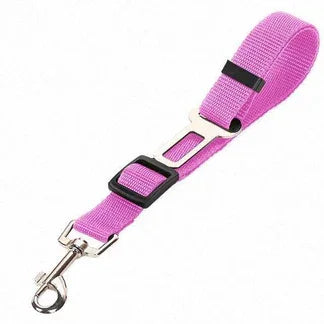 SpaceNest™ Car Safety Strap