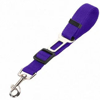SpaceNest™ Car Safety Strap