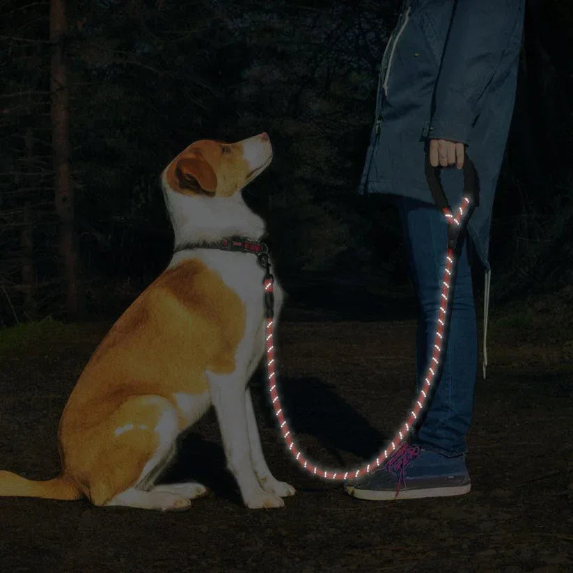 5ft SpaceNest™ Dog Leash